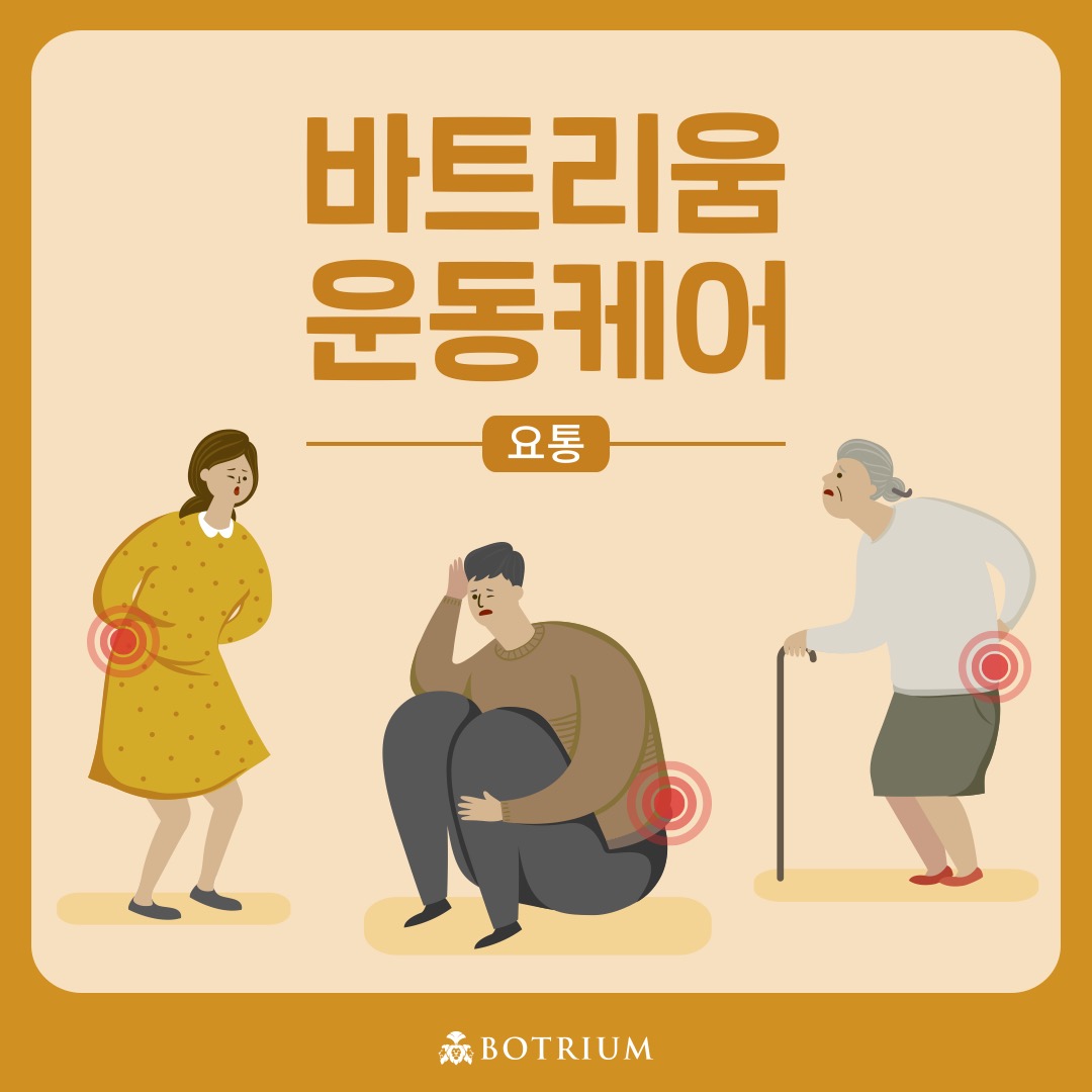 [전문운동 갤러리] - 요통편